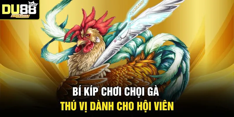 Bí kíp chơi chọi gà thú vị dành cho hội viên