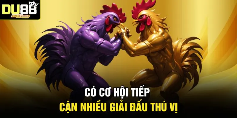 Có cơ hội tiếp cận nhiều giải đấu thú vị