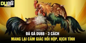 Đá Gà DU88 - 3 Cách Mang Lại Cảm Giác Hồi Hộp, Kịch Tính