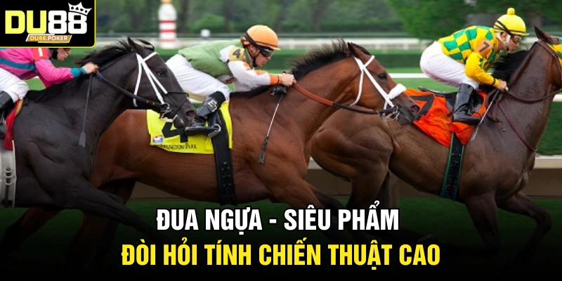 Đua ngựa - Siêu phẩm đòi hỏi tính chiến thuật cao