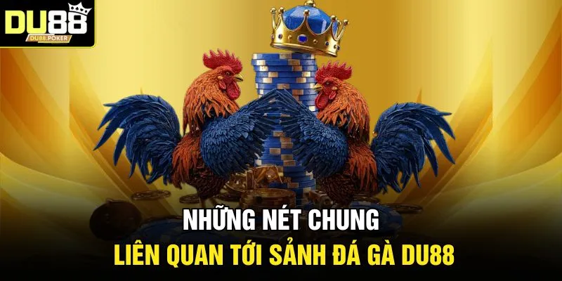 Những nét chung liên quan tới sảnh đá gà DU88 